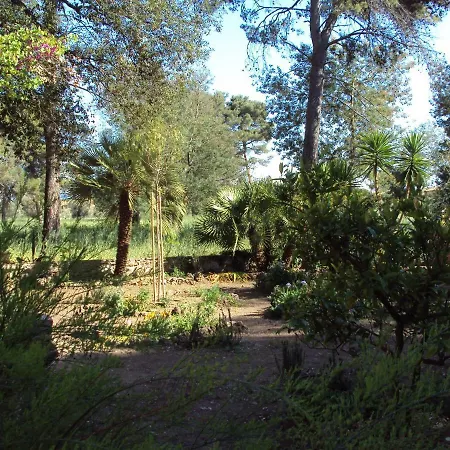 Di Campagna Santa Giulia *