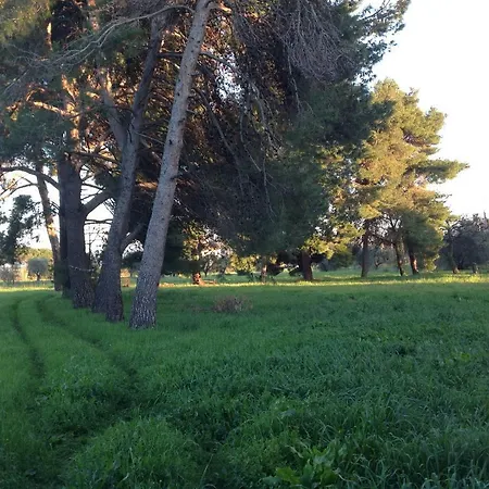 Di Campagna Santa Giulia Carbonifera