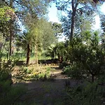 Di Campagna Santa Giulia *