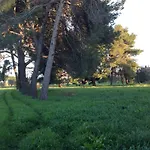 Di Campagna Santa Giulia Carbonifera